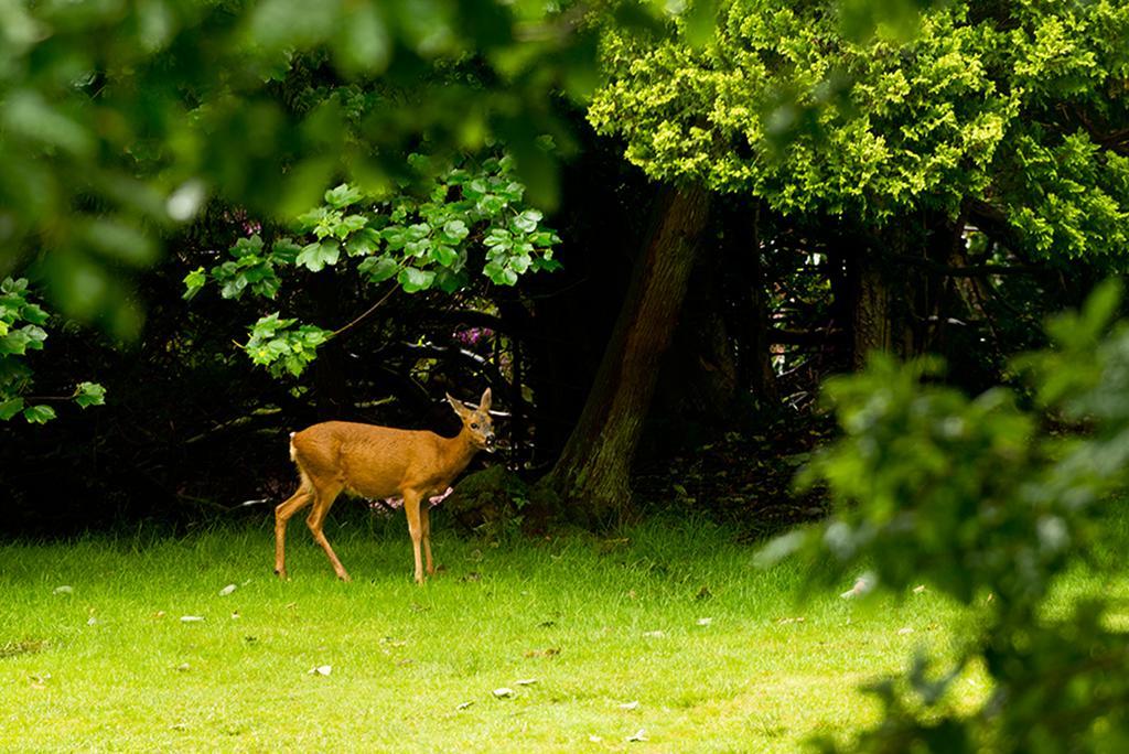 Yha Grasmere Butharlyp Howe Εξωτερικό φωτογραφία